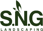 SNG-logo (1)
